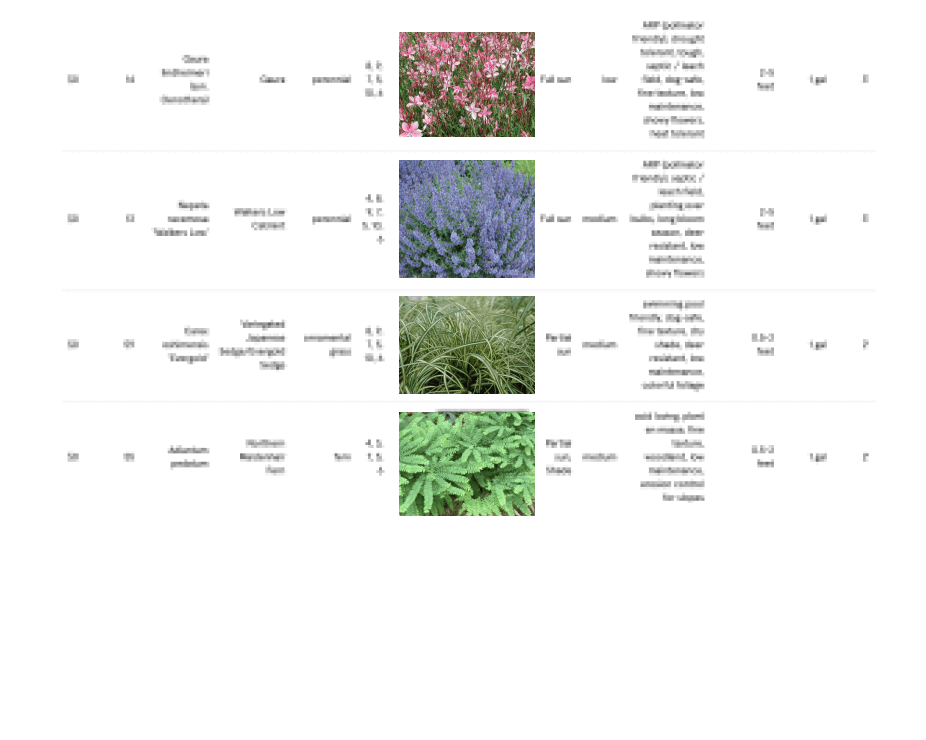 Plant list continued, showing images, planting zones, scientific and common names, quantities, light and water requirements, and key features for plants in yard design