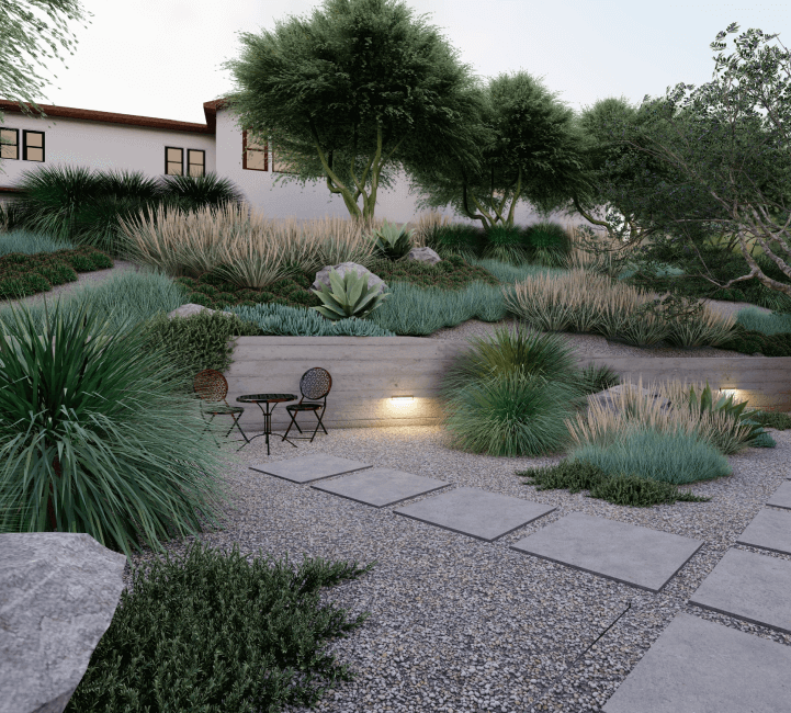 3D render of a yard drought tolerant planting