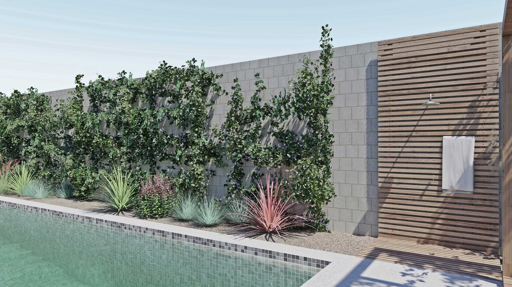 Fenced outdoor pool and shower with plants in Las Vegas
