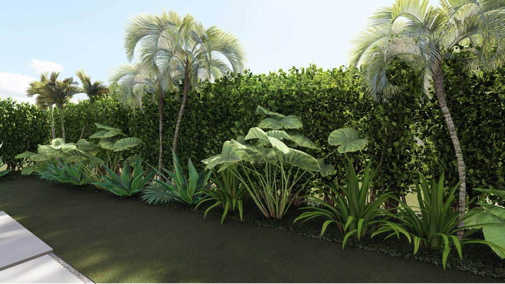 Palm Beach yard design with plants