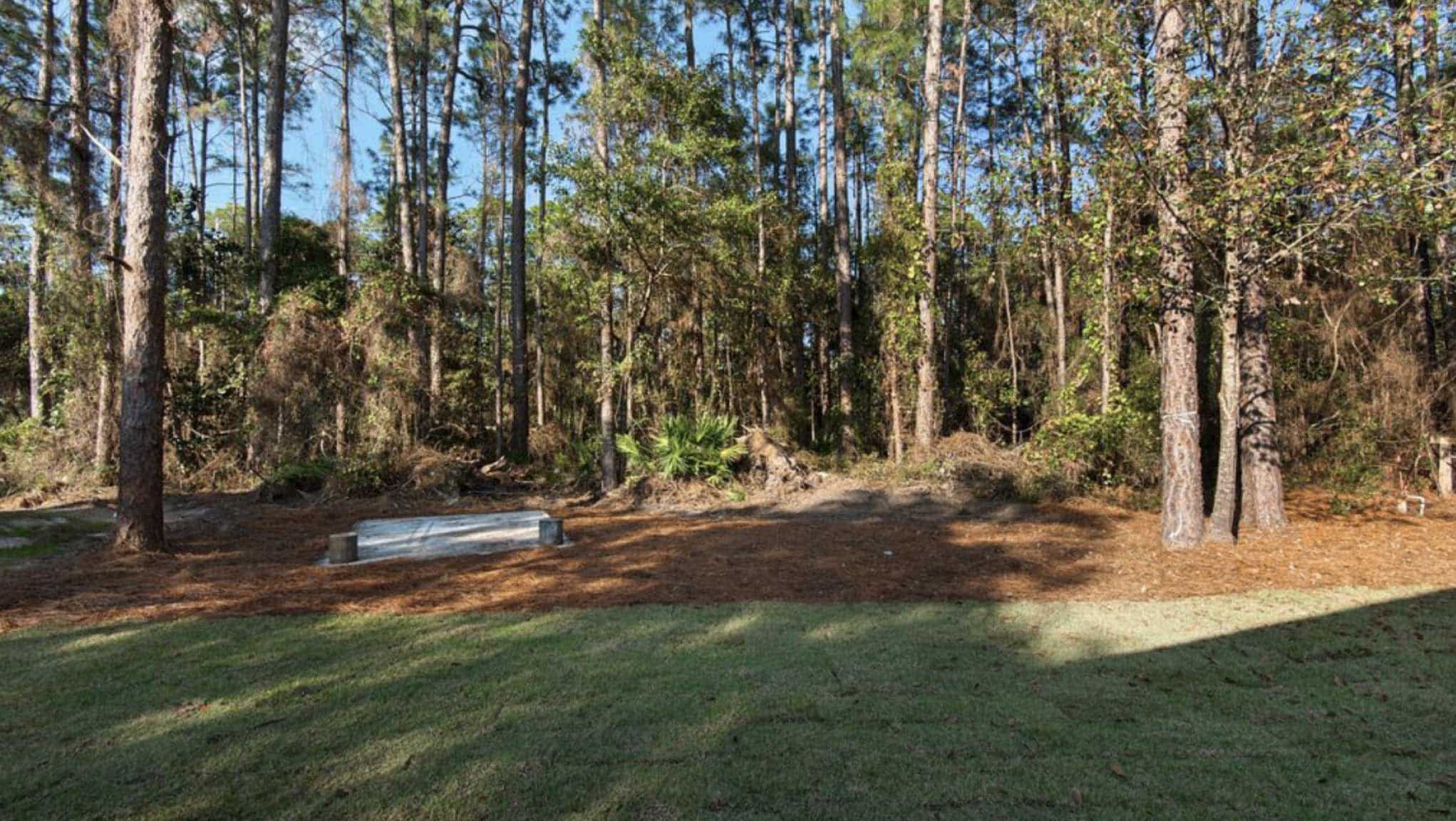 Before photo of backyard with lawn and forested area in background