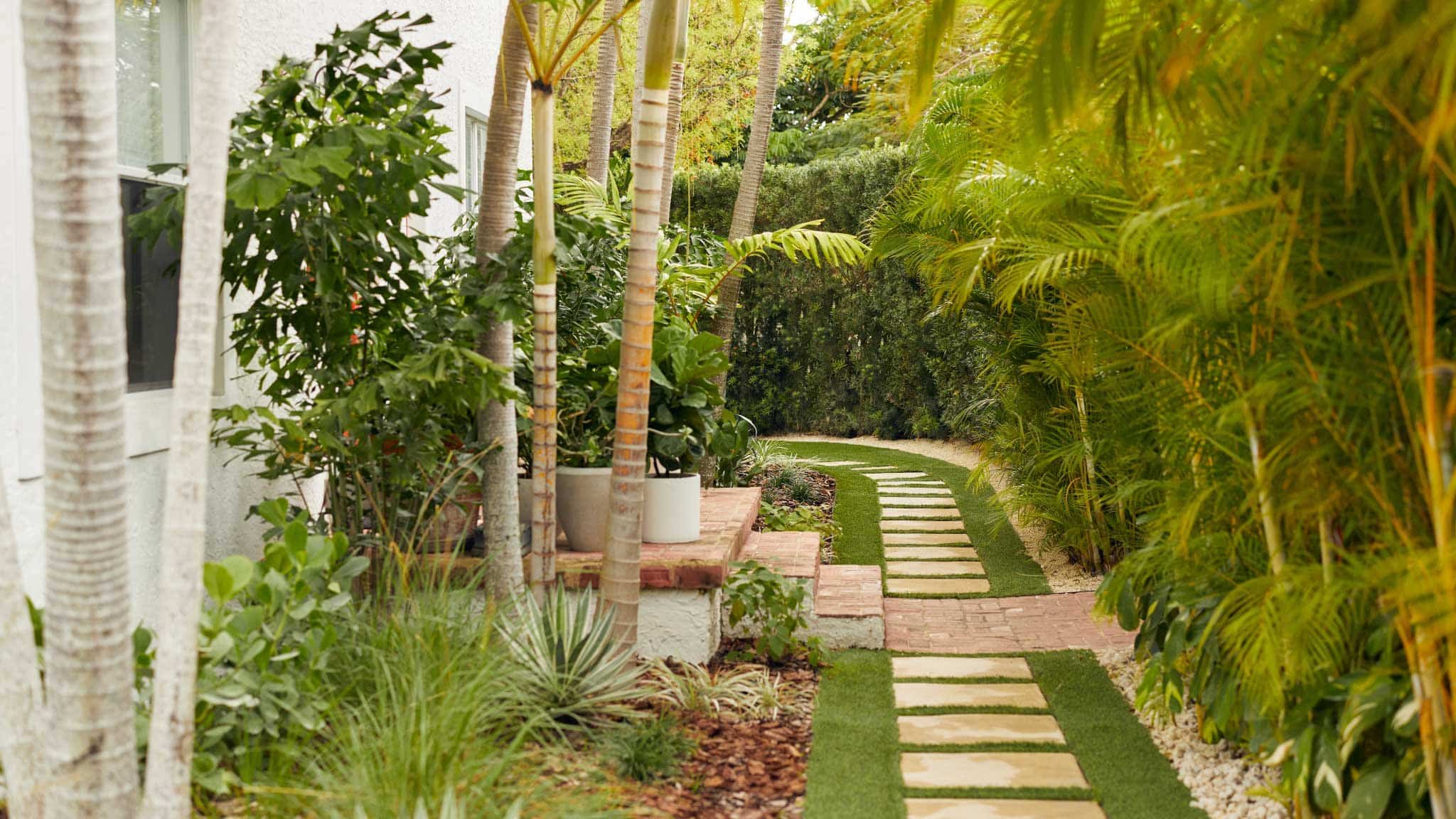 Side yard with green grass and stepper pathway with tropical planting bed alongside home