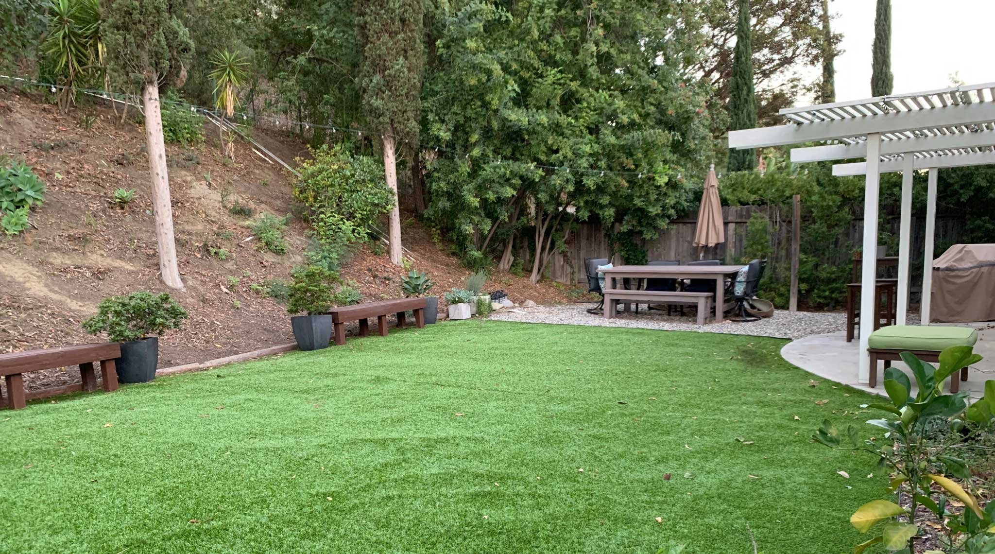 Before photo of backyard with lawn and bare sloped section