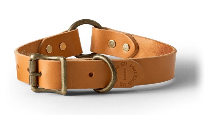 Brown Leather dog collar.