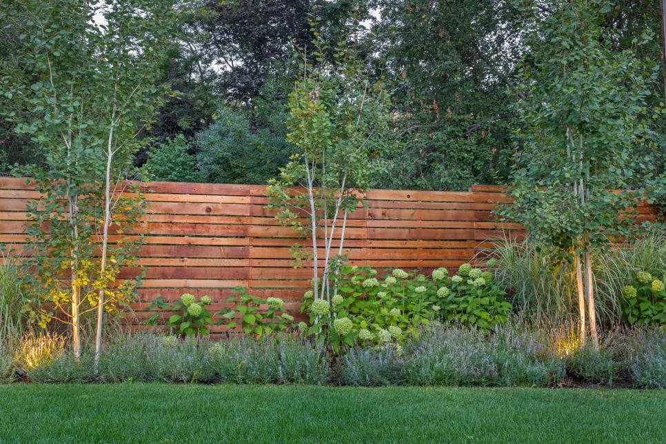 A fenced yard with lawn and plants