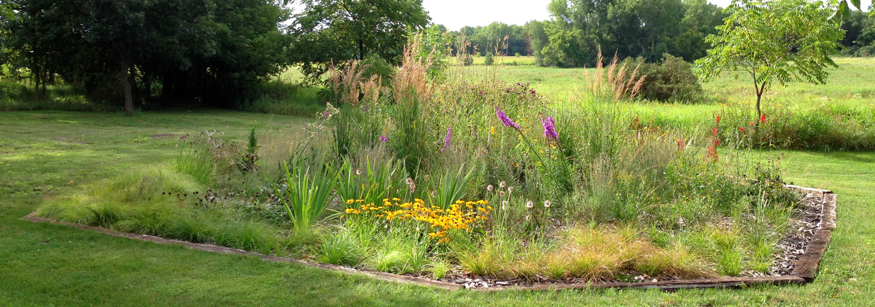 minnesota native landscapes