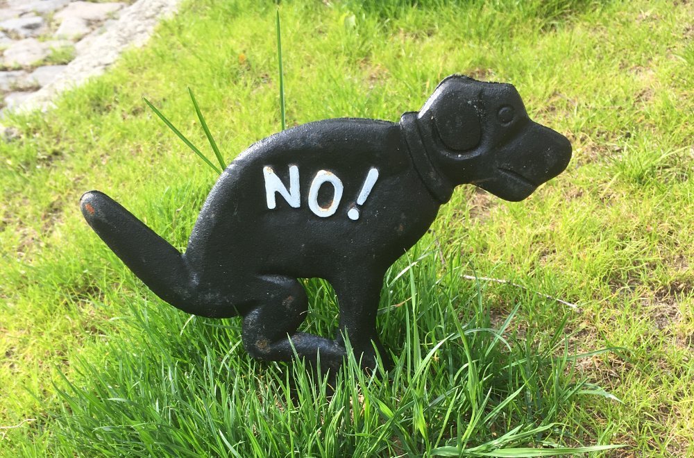 A dog statue on an artificial turf