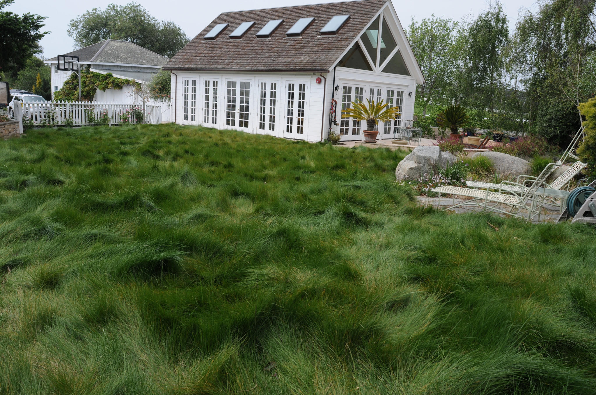 la-hm-water-wise-grass-20150715-002.jpg