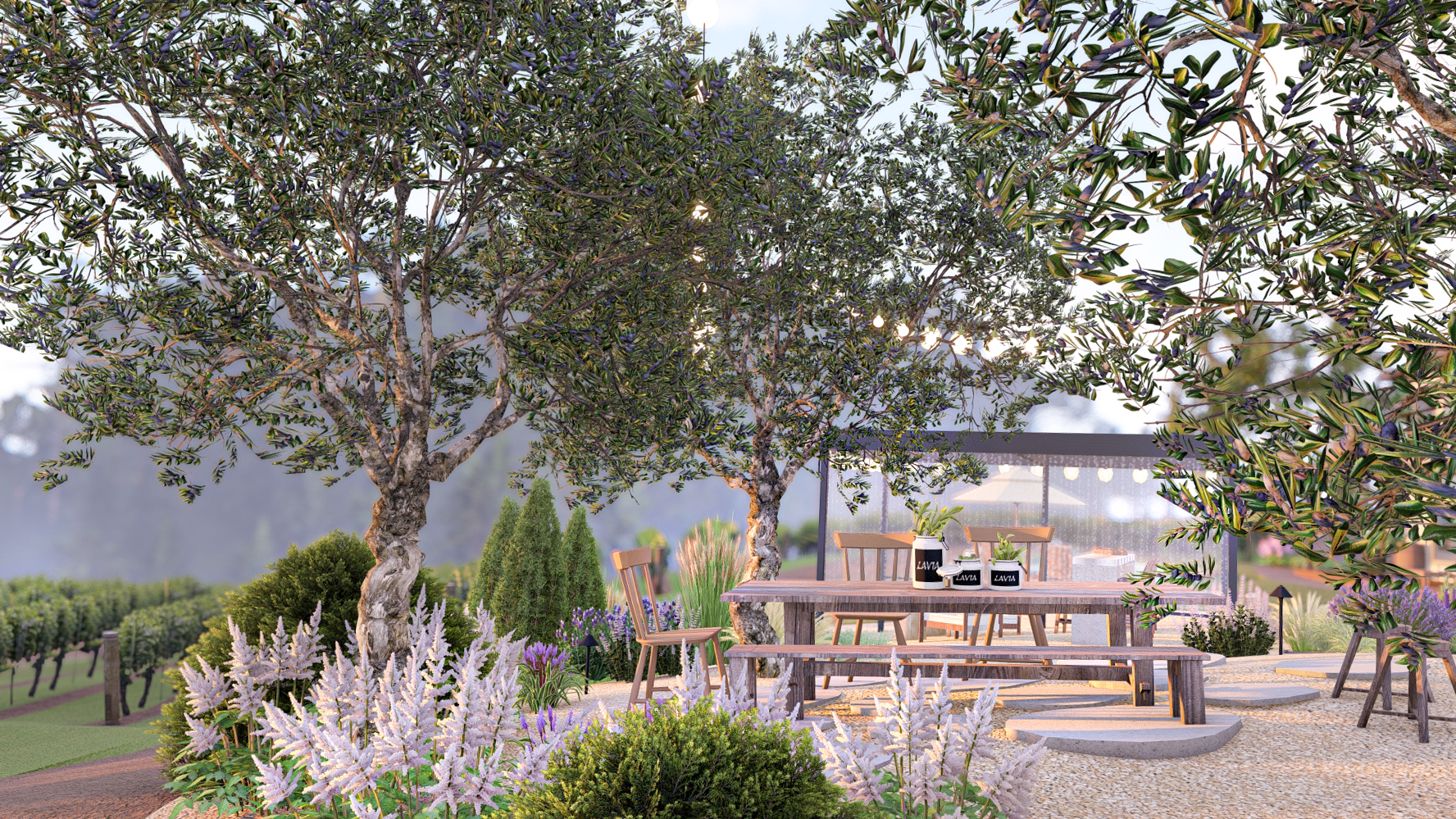 Close up view of an outdoor dining area surrounded by olive trees and lavender