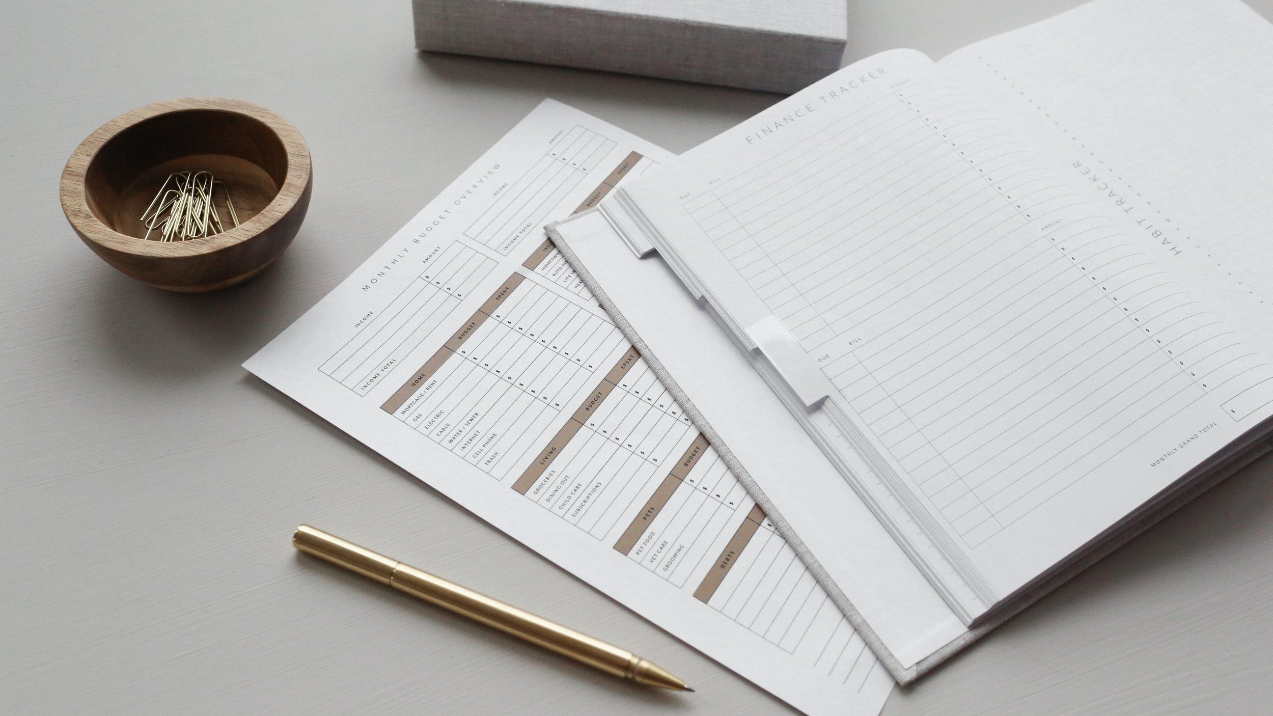 Pen, paper clips, jotter, and balance sheet