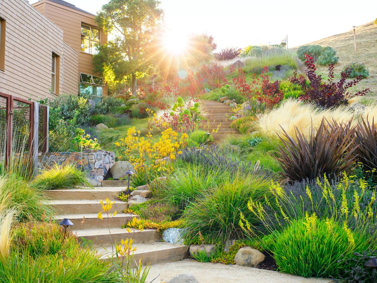 Drought resistant clearance landscaping