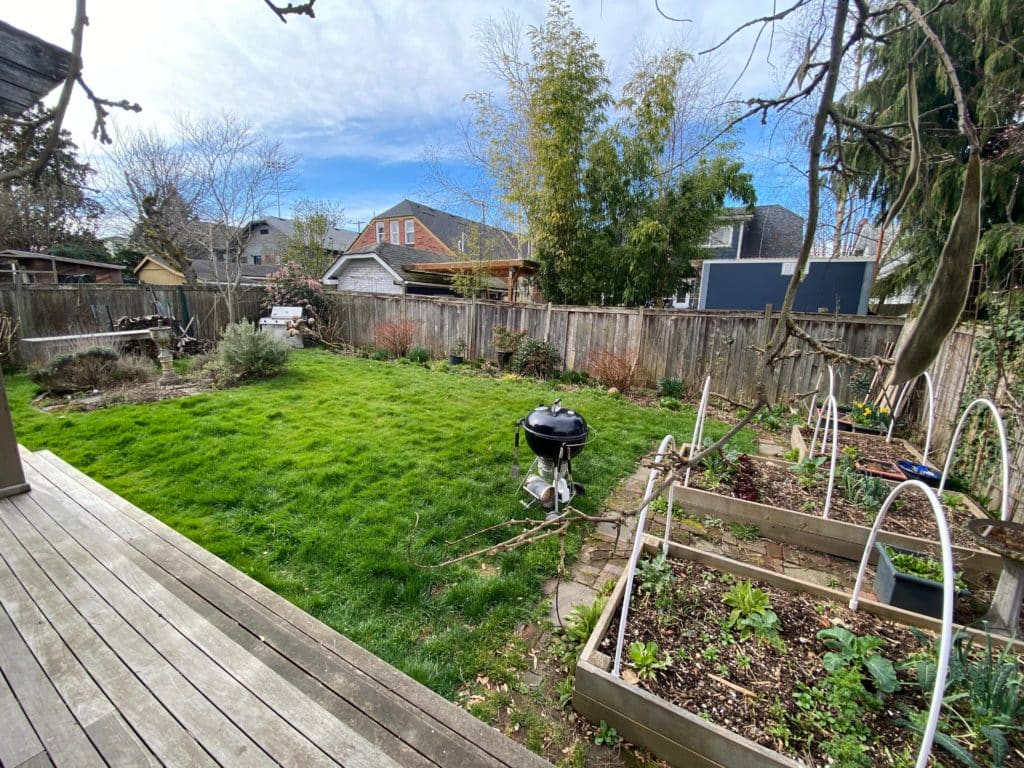 View of the backyard from the deck before renovation with lawn and non-design oriented planting beds.