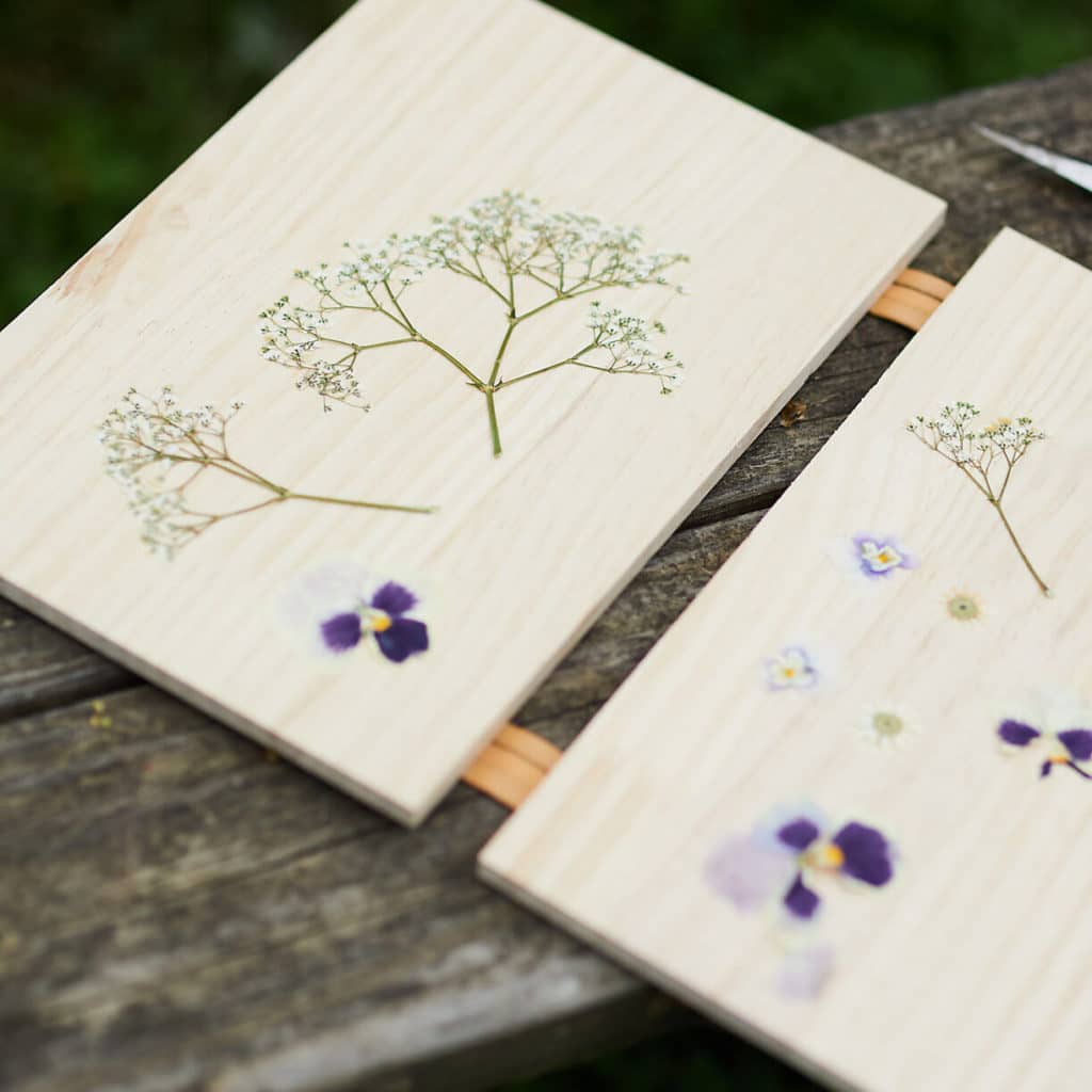 Wooden herb and flower press