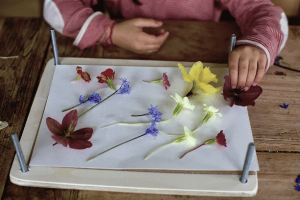 Little kid making pressed flower art on white sheet.