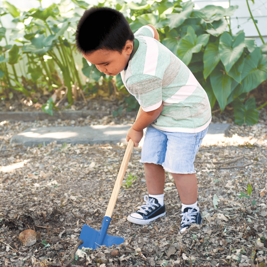 Little boy in a garden trying to dig and haul with a shovel.