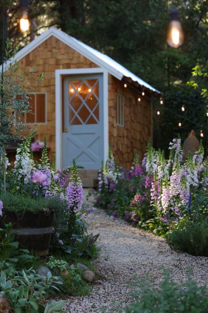 Gravel path with tall purple and white flowering plants on either side leading to blue-doored cottage-style shed