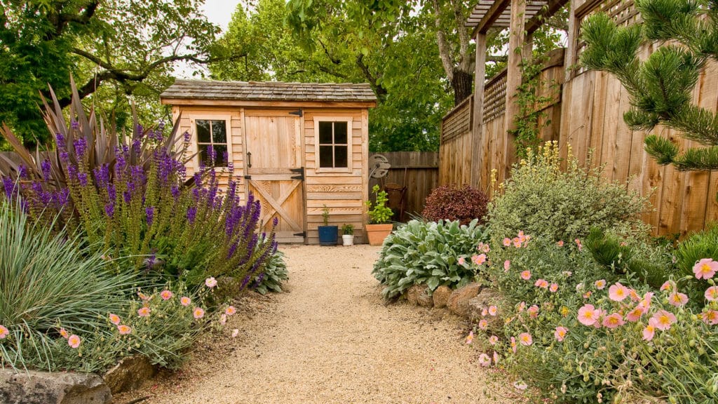 Rustic wooden backyard shed with DG path and ornamental plantings