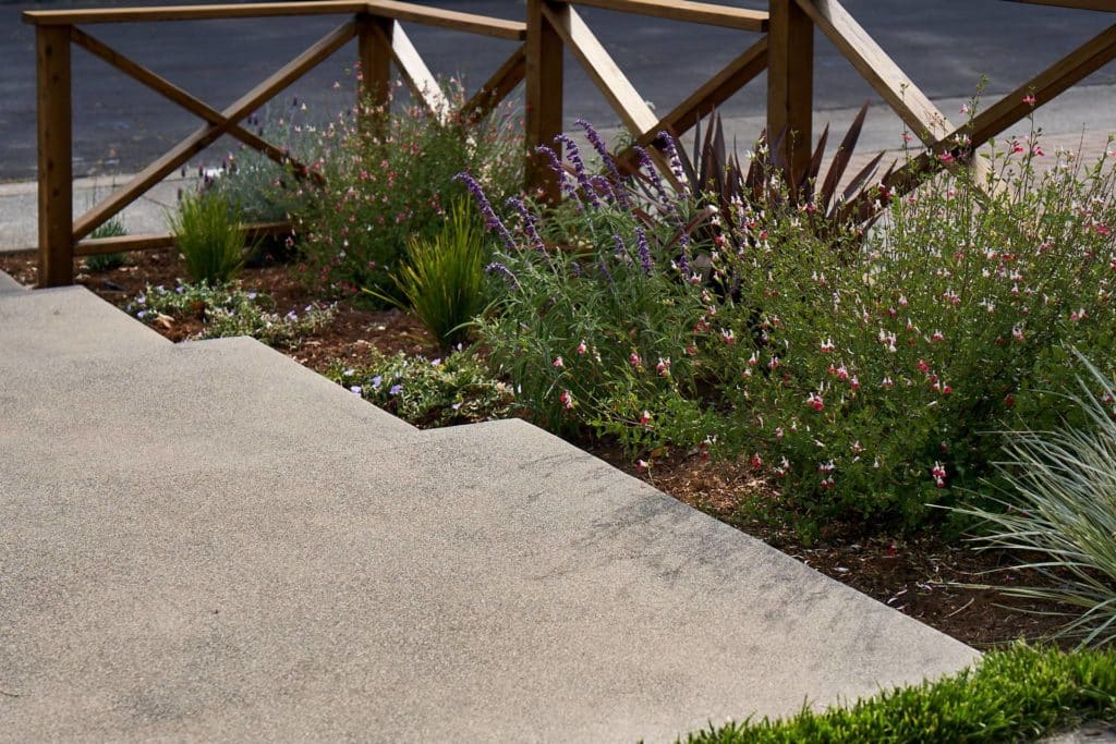 Close up of concrete steps flanked with flowering plants bordered by wooden X fence