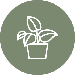 plant in pot icon