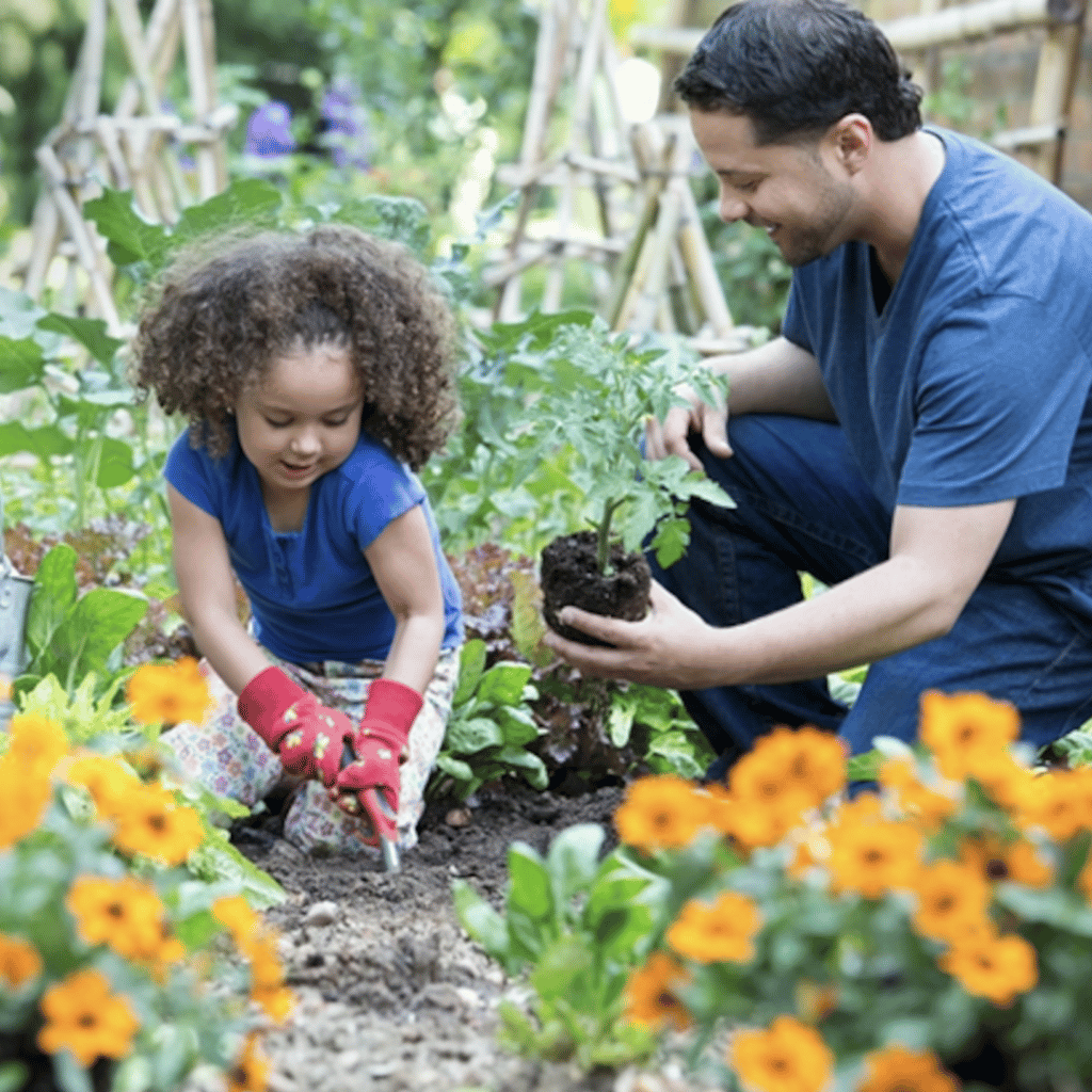 Child and parent gardening