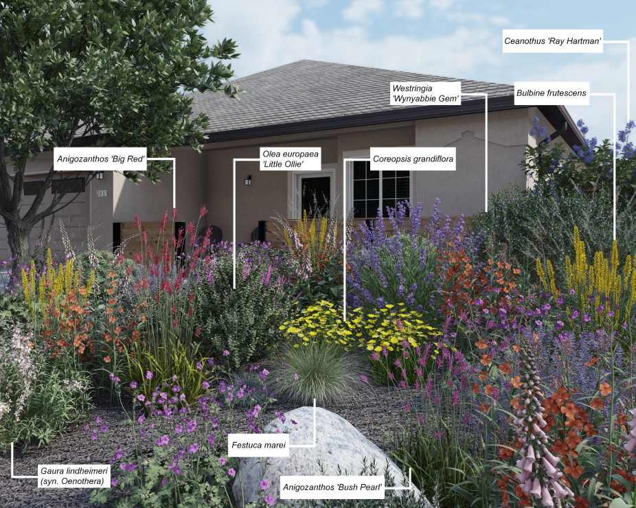 3D render of front yard planting design with plants names labeled