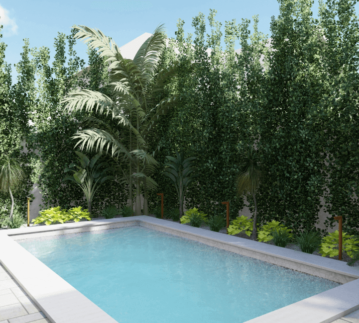 3D render of privacy planting surrounding a backyard pool.