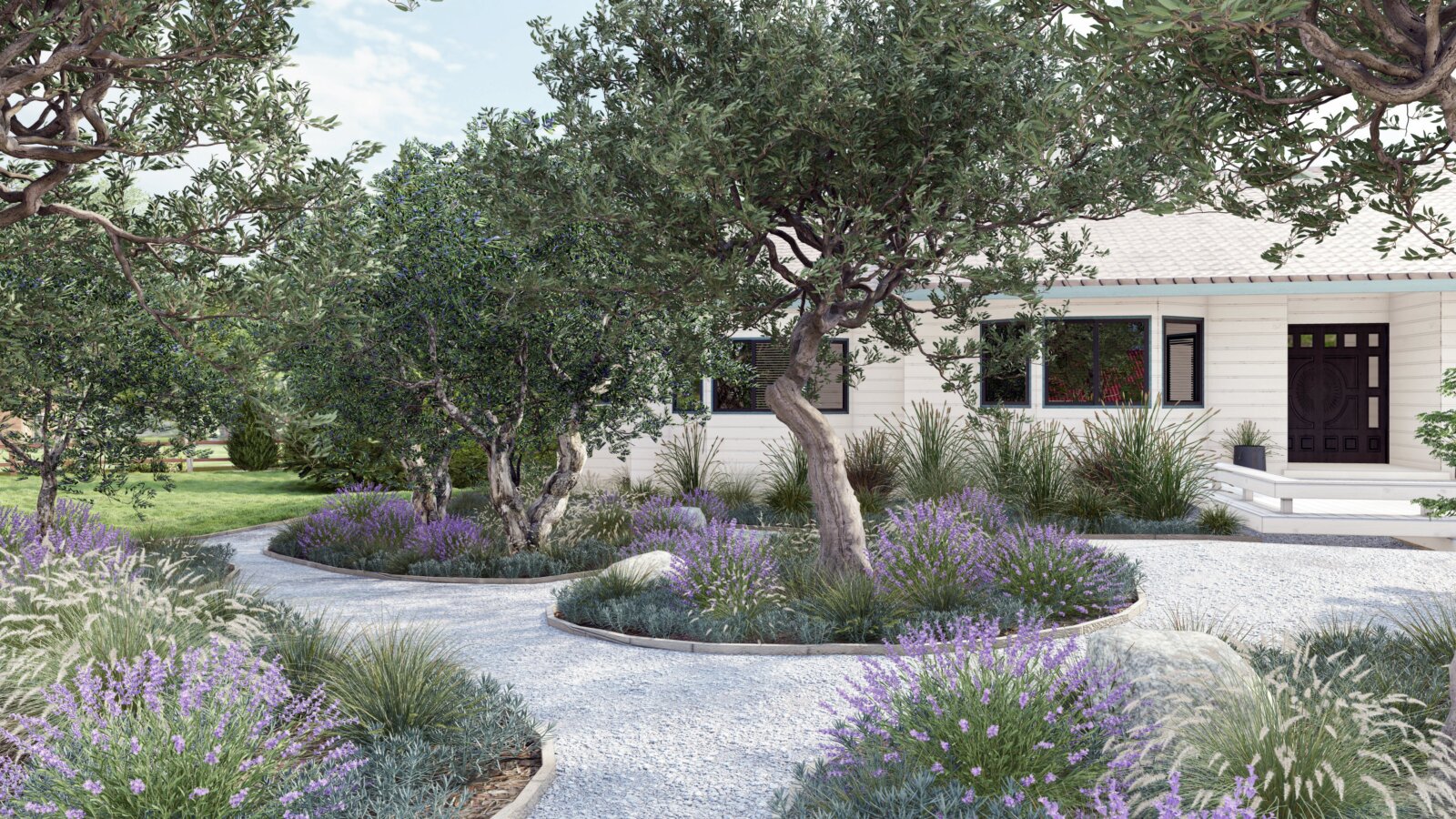 Flowers around tree front yard, lavender around olive trees