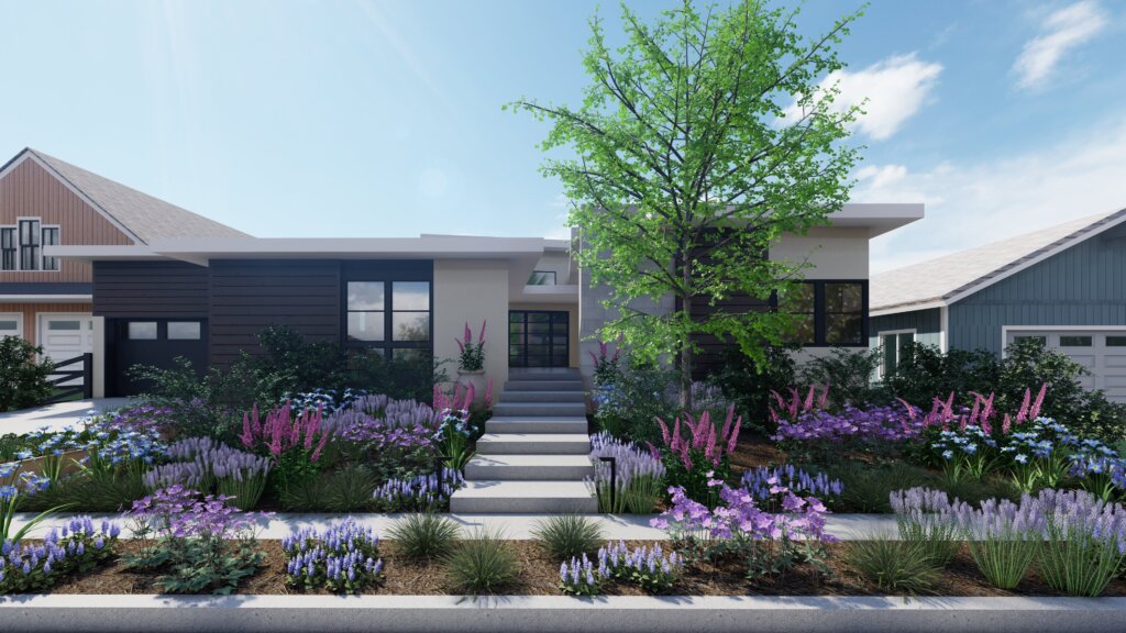 Colorado modern black and white home with native Colorado wildflowers used in the meadow front yard