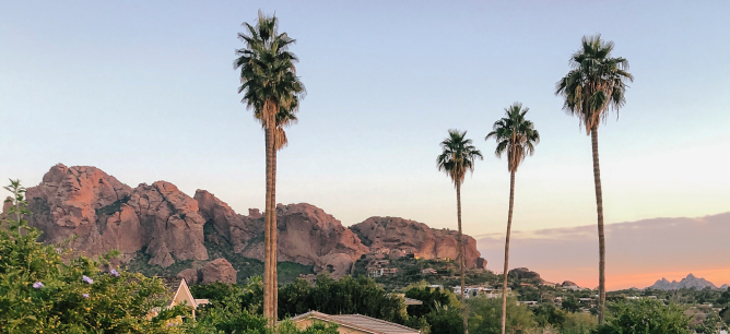 Palm trees in front of Arizona mountains with the sun setting