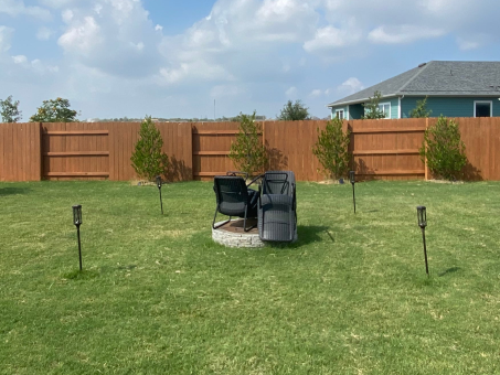 before photo of backyard with large struggling lawn and a few trees