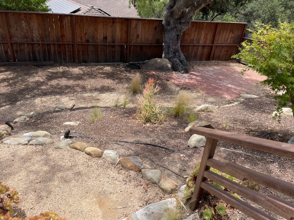 Backyard with little plants and mostly dirt