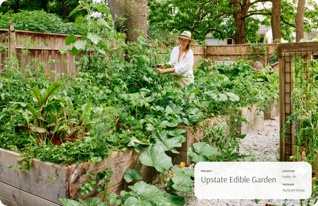 Woman stands in her garden in a hat, harvesting plants.