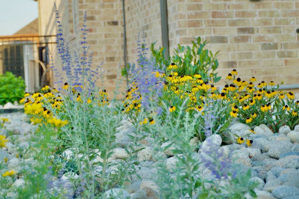 Yellow and purple wildflowers in front of a pale yellow brick house