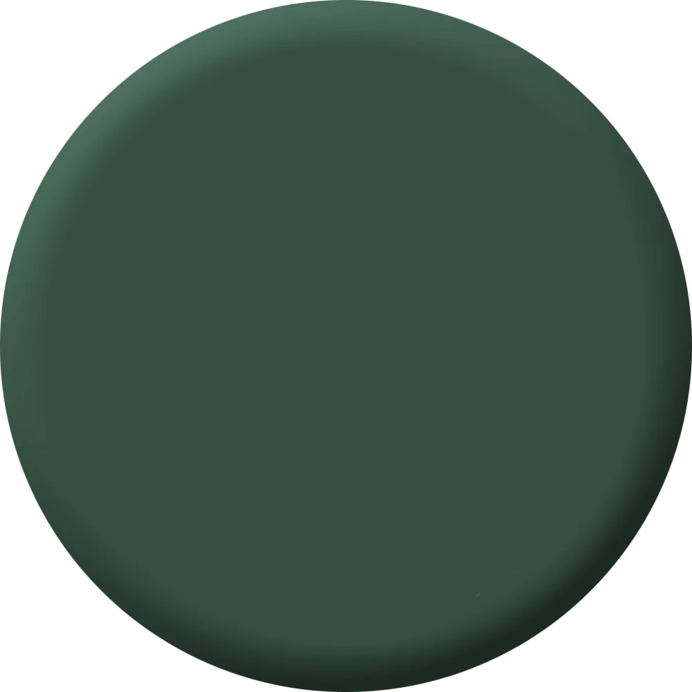 Dark green paint dot
