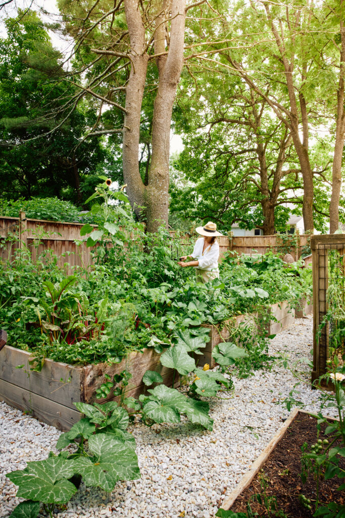 raised bed edible garden in upstate New York