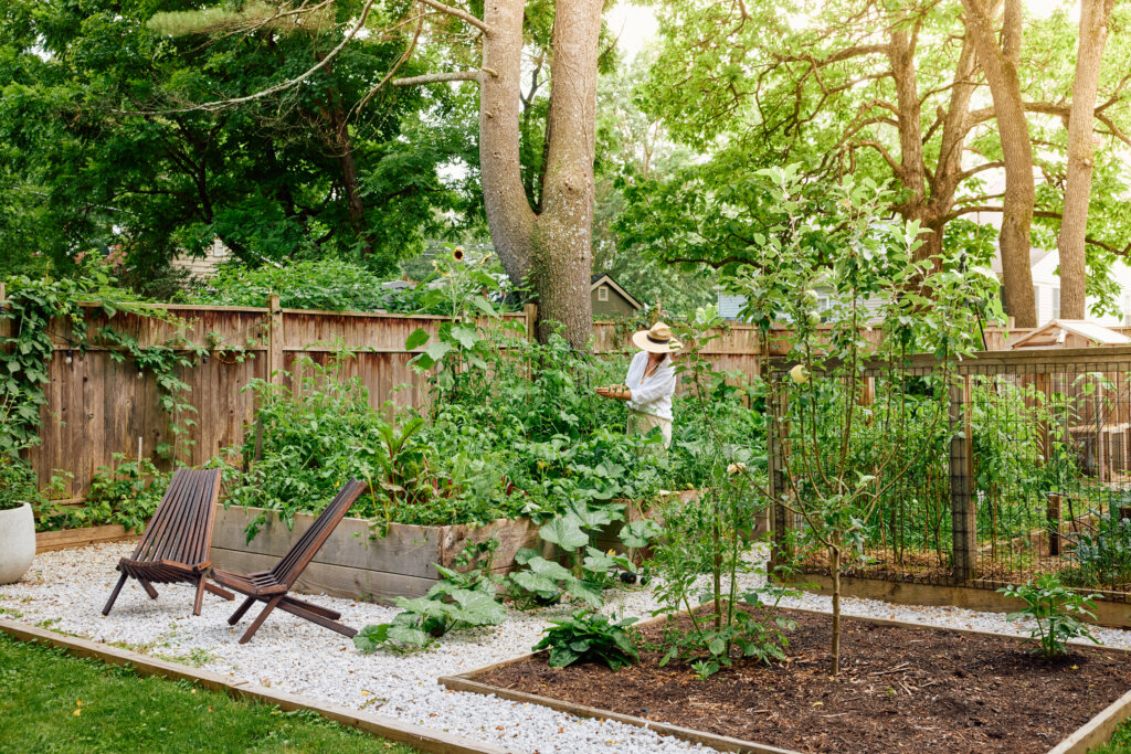 wood raised bed edible garden with squash