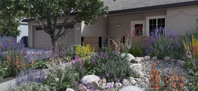Image with yard in front of house with native plants and flowers