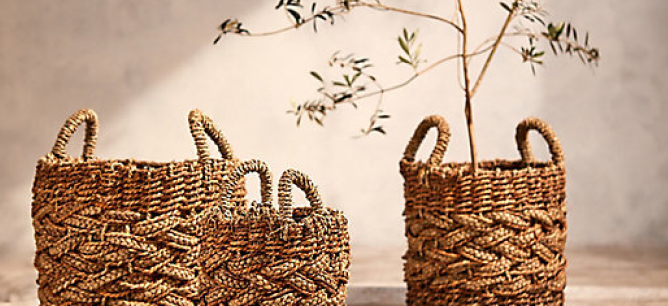 Plants in baskets of different sizes.