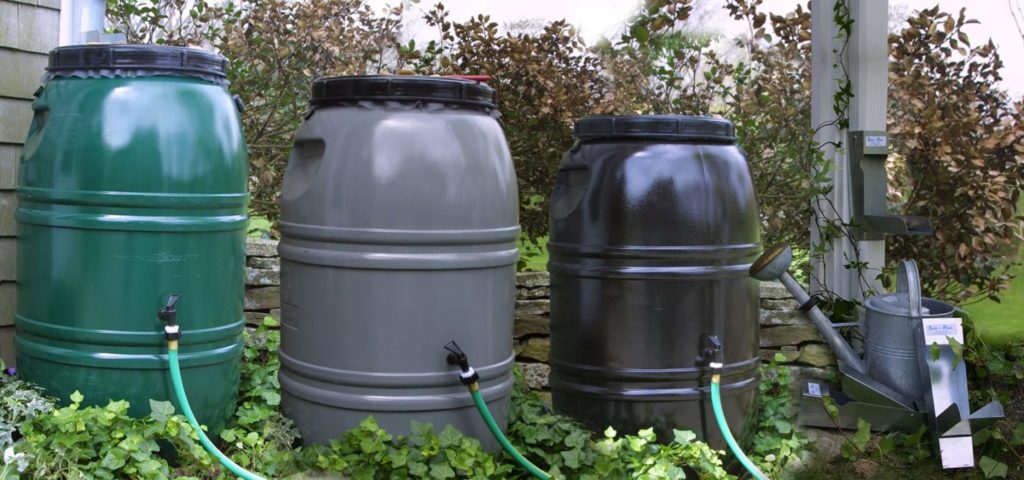 Row of rain barrels in backyard