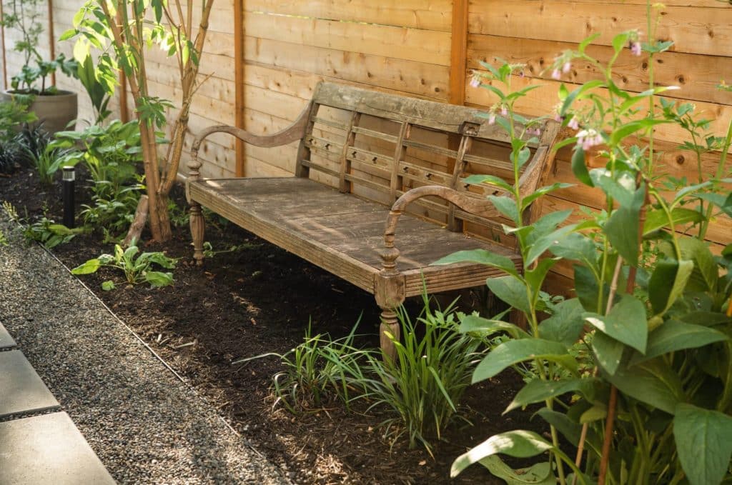 Mulched side yard with garden bench