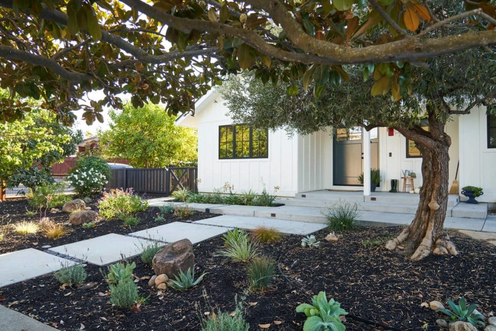 Front view of modern farmhouse front yard with low water plants
