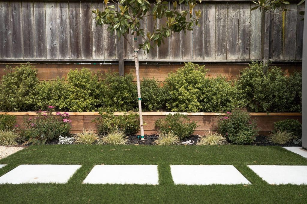 Yardzen designed backyard with newly planted tree among mulched planting beds.