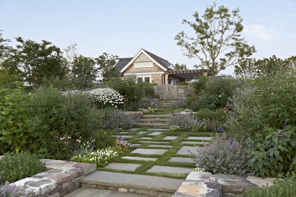 Large backyard filled with many different groundcover plants, flowering plants, and trees.